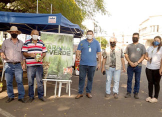 Santo Antônio da Platina arrecada meia tonelada de alimentos em ação do Paraná Mais Verde