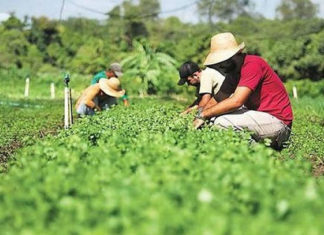 Gestores de cooperativas familiares devem ficar atentos a adesão ao Programa de ATER