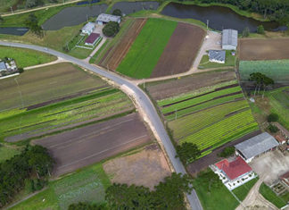 Secretaria da Agricultura publica resultado do edital do programa Coopera Paraná