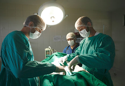 Hospitais veterinários das universidades estaduais recebem recursos de R$ 1,2 milhão