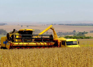 Paraná deve produzir 25,5 milhões de toneladas de grãos na safra de verão
