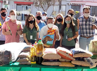 IAT distribui mudas de árvores nativas em troca de alimentos em Itambaracá