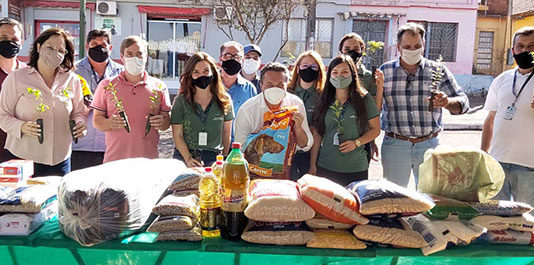 IAT distribui mudas de árvores nativas em troca de alimentos em Itambaracá