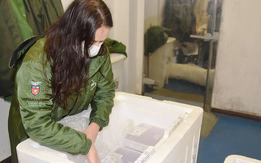 Mais de meio milhão de vacinas contra a Covid-19 começam a ser distribuídas para os municípios