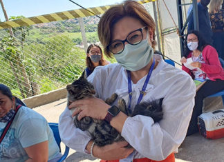 CastraPet Paraná encerra atividades de outubro em Bandeirantes