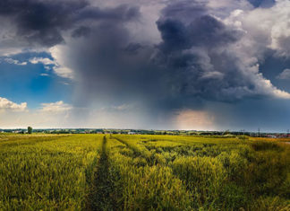 Sistema FAEP disponibiliza previsão do tempo para período de 30 dias