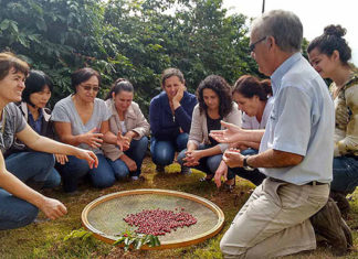 Organização divulga competidores do Concurso Café Qualidade Paraná 2021