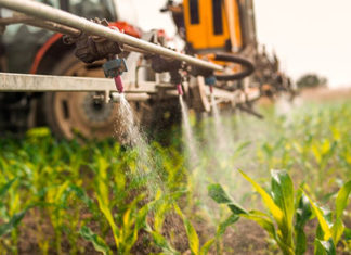 Agricultores estão apreensivos com alta dos insumos no Paraná