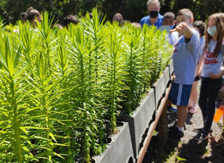 Viveiro florestal do IAT no Norte Pioneiro retoma visitas agendadas