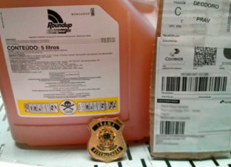 Gaema deflagra nova etapa da Operação Webcida