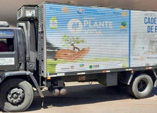 Distrito 4710 Rotary Internacional dá início ao ‘Plante Vida’
