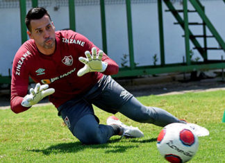 Goleiro Fábio chega ao Flu mirando a Libertadores: “está na hora”
