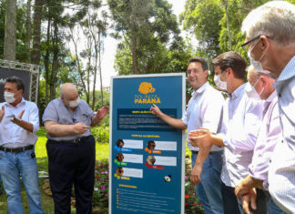 Governo lança projeto para introduzir colmeias de abelhas nativas sem ferrão em parques