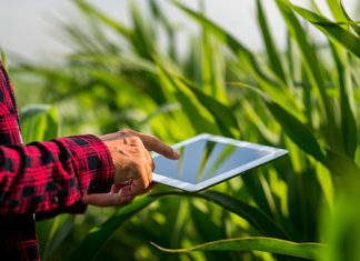 Emissão da Nota Eletrônica para produtor rural que fatura mais de R$ 200 mil é obrigatória