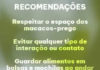 Com volta às aulas, comunidade deve aprender conviver com macacos-pregos no campus