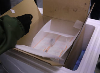 Paraná recebe primeiro lote com 65,5 mil vacinas contra a Covid-19 para crianças de 5 a 11 anos