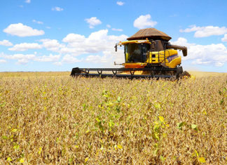 Paraná deve produzir 14,74 milhões de toneladas de grãos na safra de verão