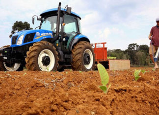 Renda Agricultor melhora a vida de famílias do Norte Pioneiro, diz Romanelli