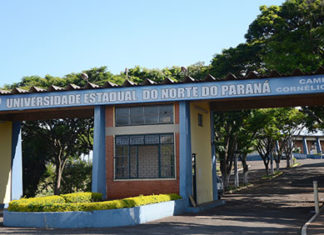 Em projeto de internacionalização, UENP lança cursos para estudantes estrangeiros