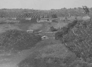 Fragmentos da Nossa História: