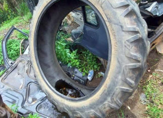 Municípios promovem ação contra a dengue neste sábado em todo o Paraná