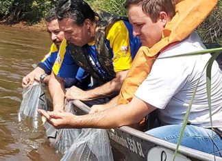 Paraná conclui Piracema após cinco grandes fiscalizações e repovoamento com 770 mil peixes
