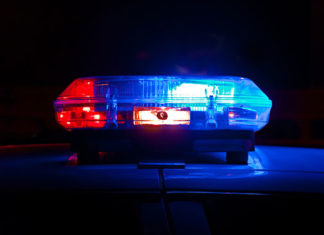 NOTAS POLICIAIS (23/03 a 29/03)