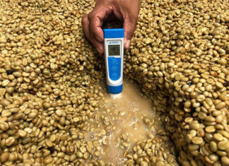 Café fermentado atrai produtores e cafeterias interessados em novos aromas e sabores