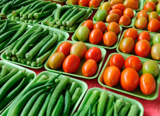 Compras públicas impulsionam produção e consumo de alimentos orgânicos no Paraná