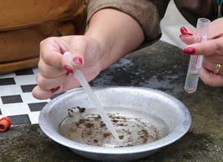 Com aumento de casos, Paraná declara epidemia de dengue