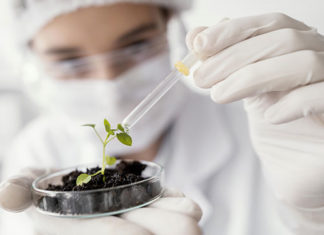 Professores da UENP estão entre os pesquisadores mais influentes da América Latina