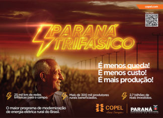 Paraná Trifásico já alcança 7.913 quilômetros de redes modernas em regiões rurais