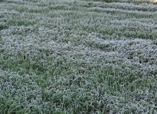 Entra em operação Alerta Geada