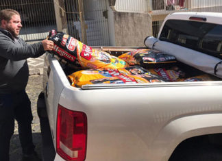 Projeto de lei cria programa de distribuição de ração para pets no Paraná