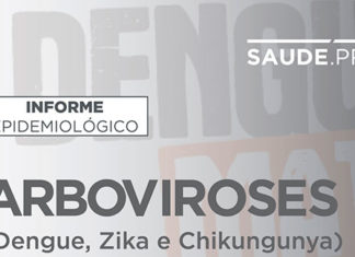 Boletim da dengue confirma mais de 100 mil casos no Paraná; são oito novos óbitos