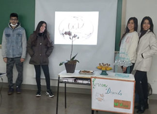 Colégio ECEL realiza projeto interdisciplinar de matemática financeira