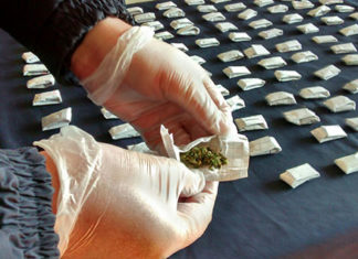 Em Cornélio, 13 pessoas são denunciadas pelo MPPR por tráfico, associação para o tráfico e outros crimes