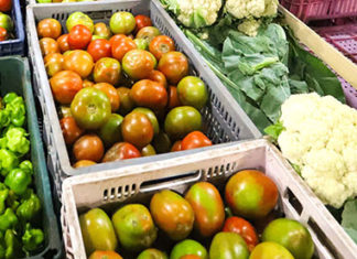 Divulgada a pontuação de credenciados do programa Compra Direta Paraná