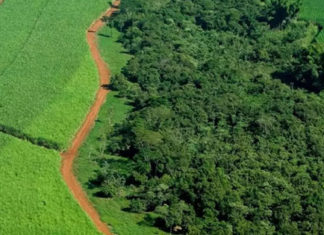 Prazo de entrega do ITR 2022 deu início esta semana