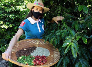 Projeto voltado para mulheres da cafeicultura se torna referência estadual