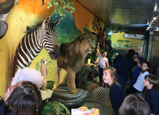 Colégio ECEL recebe ‘Container Zoo África’ e promove aula diferenciada de Educação Ambiental