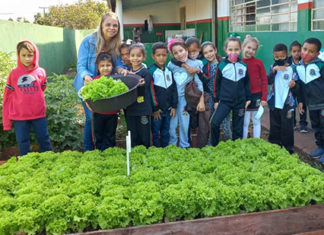 Cultivo de horta desenvolve boa alimentação e cuidados com o Meio Ambiente