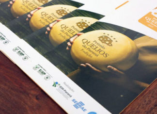 Paraná lança prêmio para queijos produzidos no Estado