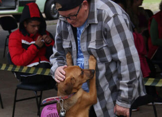 CastraPet Paraná atinge marca de 138 municípios atendidos em todo o Estado