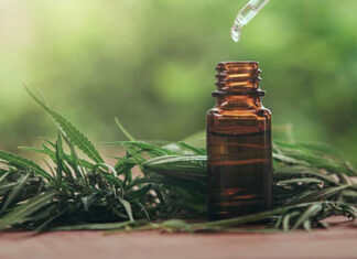 CFM abrirá consulta pública sobre uso da cannabis medicinal