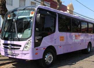 Ônibus Lilás estará em municípios do Norte e Norte Pioneiro nesta semana