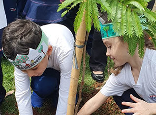 Colégio Maximus envolve alunos na comemoração do dia da árvore