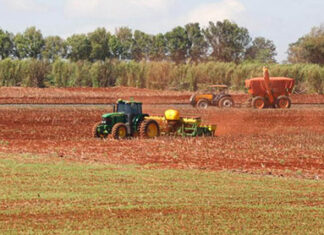 Plantio de soja volta à normalidade; safra deve alcançar 21 milhões de toneladas