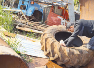 ‘Semana D’ de combate à dengue tem início na segunda-feira, 28