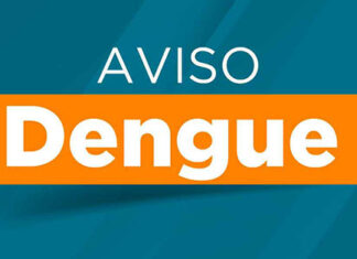 Secretaria da Saúde registra 86 novos casos de dengue no Paraná